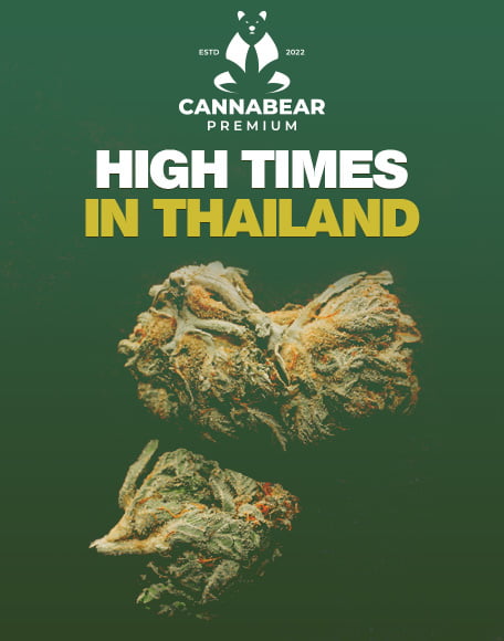 Cannabear Thailand - High Times in Thailand