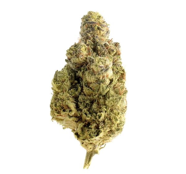 OG Kush Weed Buds
