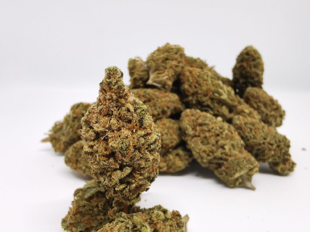 PermZ (30% THC - tested)Small - Exotic Cannabis Strain