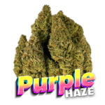 Order Purple Haze Weed Thailand