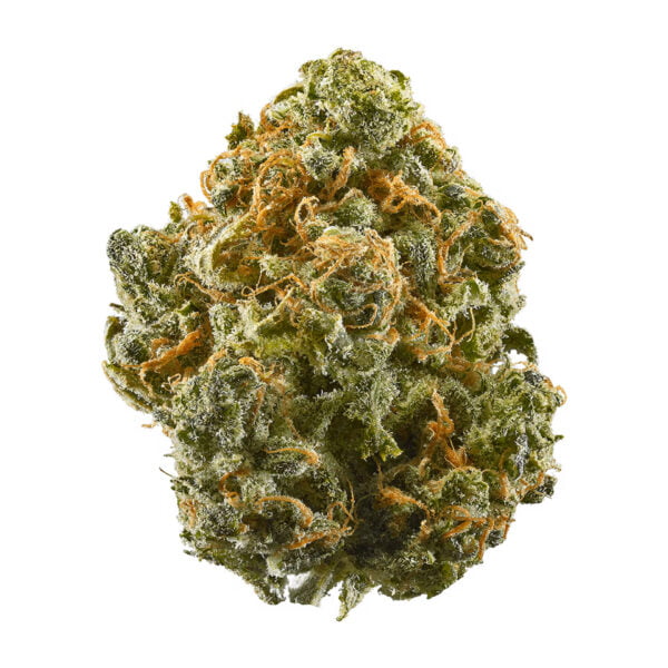 Blue Dream Cannabis Buds