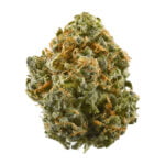 Blue Dream Cannabis Buds