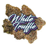 Order White Truffle Cannabis in Thailand