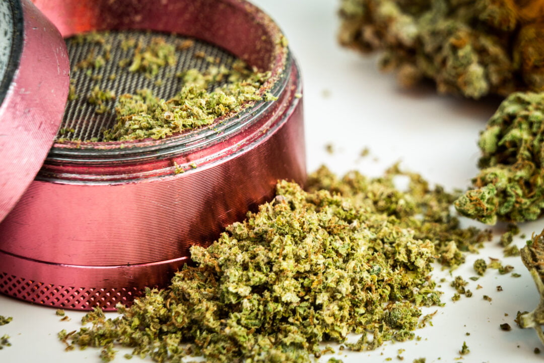 What Makes US Cannabis strains so popular?