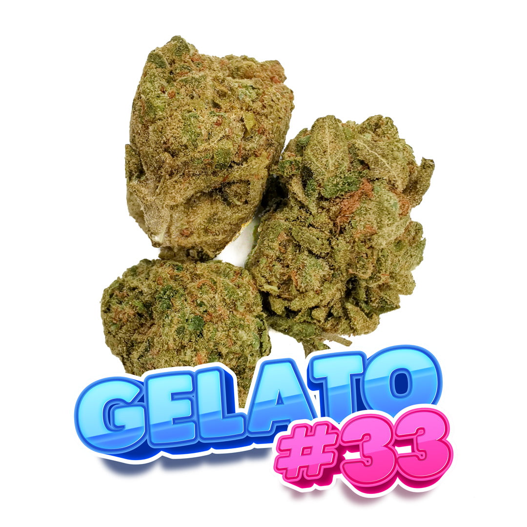 Gelato #33 - Cannabear Thailand