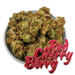 Red Cherry Berry