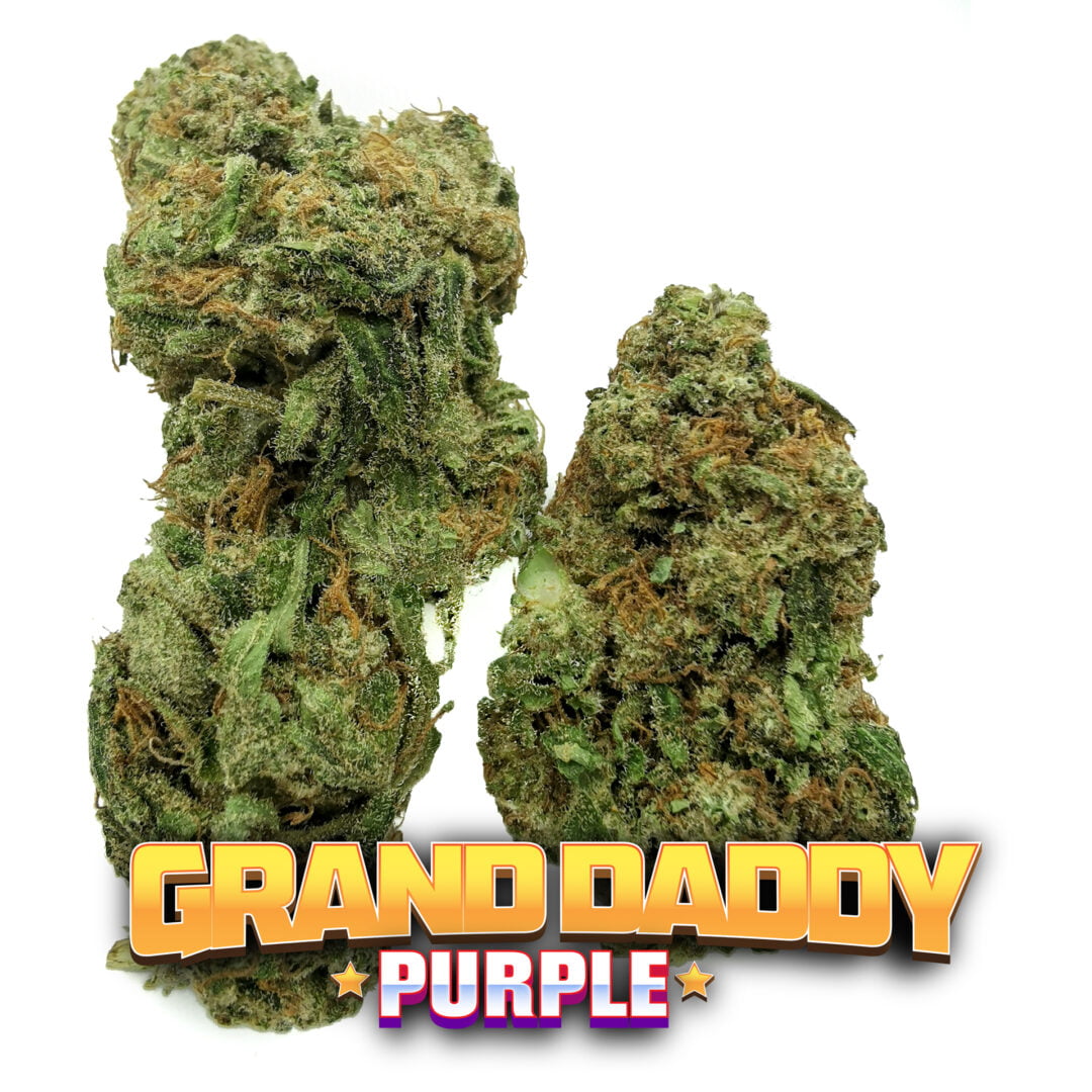 Grand Daddy Purple - ซื้อกัญชาออนไลน์