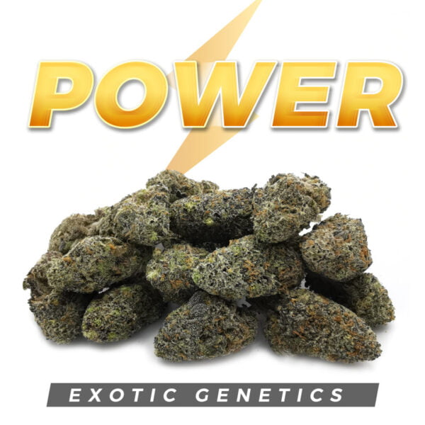 power exotic genetics