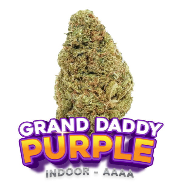 Grand Daddy Purple - Buy Cannabis Online