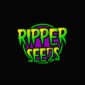 Ripper Seeds Thailand