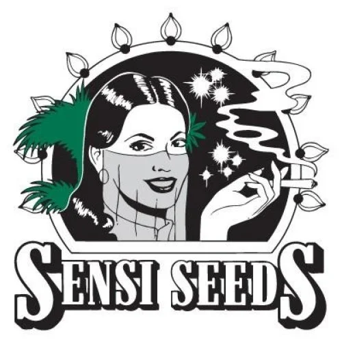 Sensi Seeds Thailand