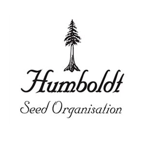 Humboldt Seeds Thailand