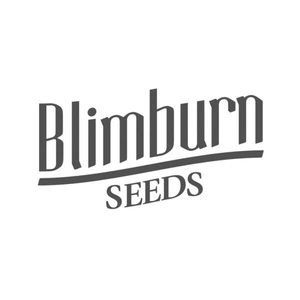 Blimburn Seeds Thailand