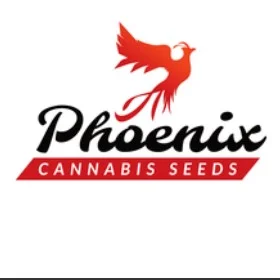 Phoenix Seeds Thailand