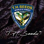 TH Seeds Thailand