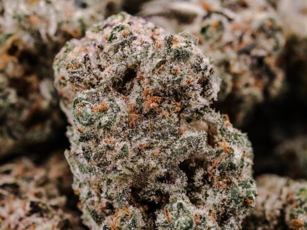 Candy Store Ethos