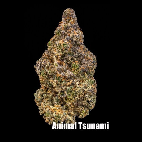 Animal Tsunami (Jungle Boys Breeder Cut)