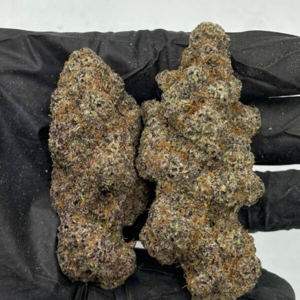 Truffle Aloha
