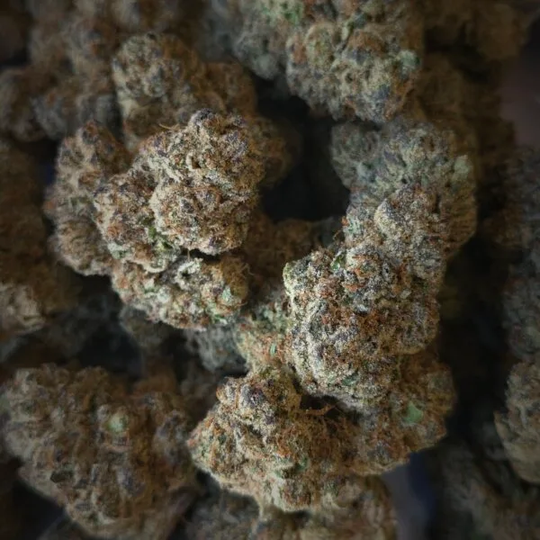 Ice Cream Cake (Restock)