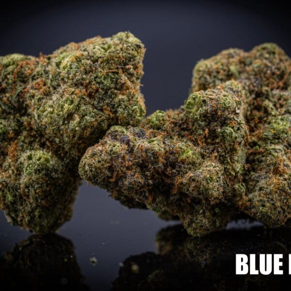 Blue Nerdz (Mitten Master Cut)