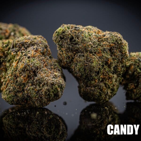 Candy Fumez (Bloom Seed Cut)