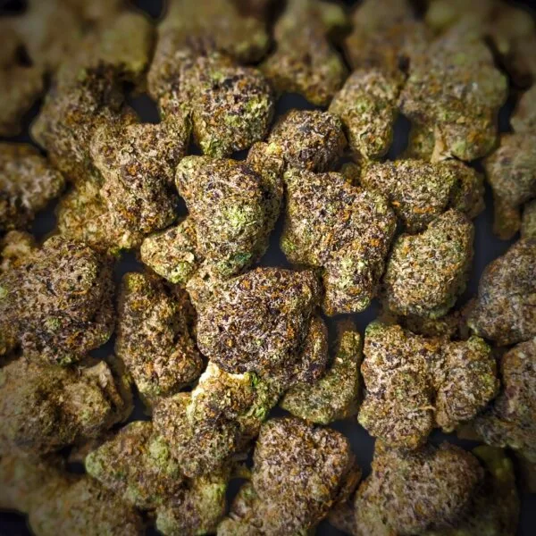 Malibu Marker (Restock)