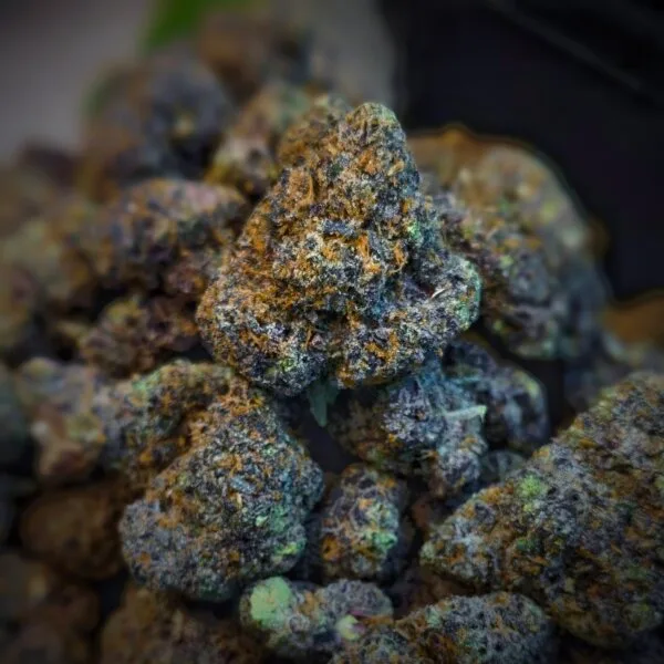 Permanent Push Pop (Restock)