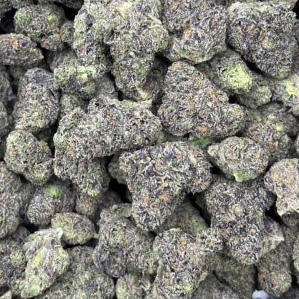Black Flitter