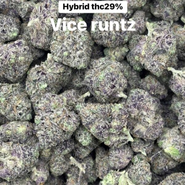 Vice Runtz