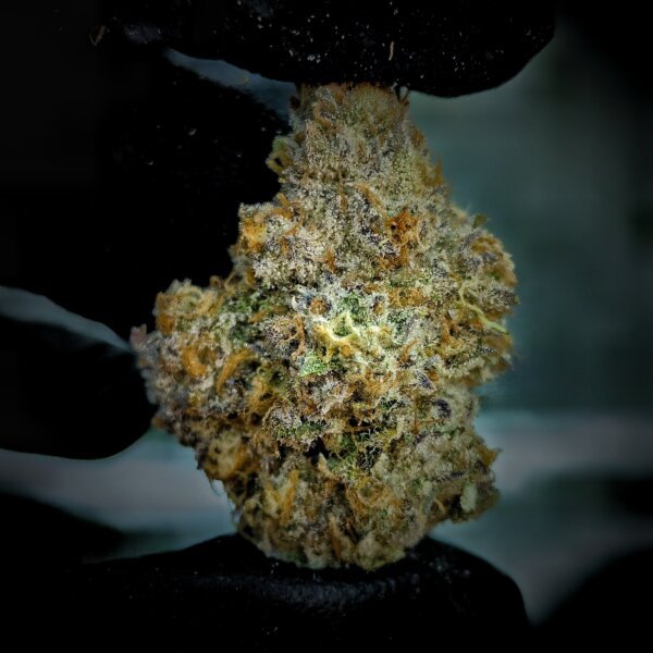 Frosted Cherry Cookies