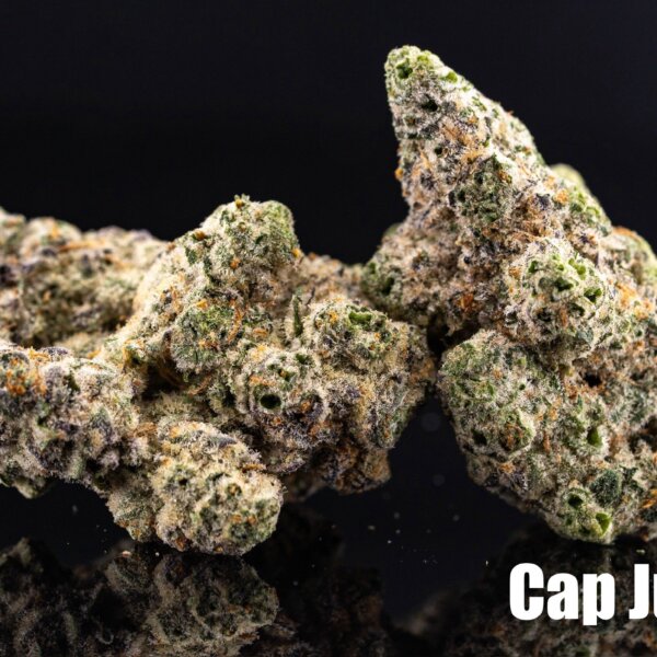 Cape Junky (Seed Junky Breeder Cut)