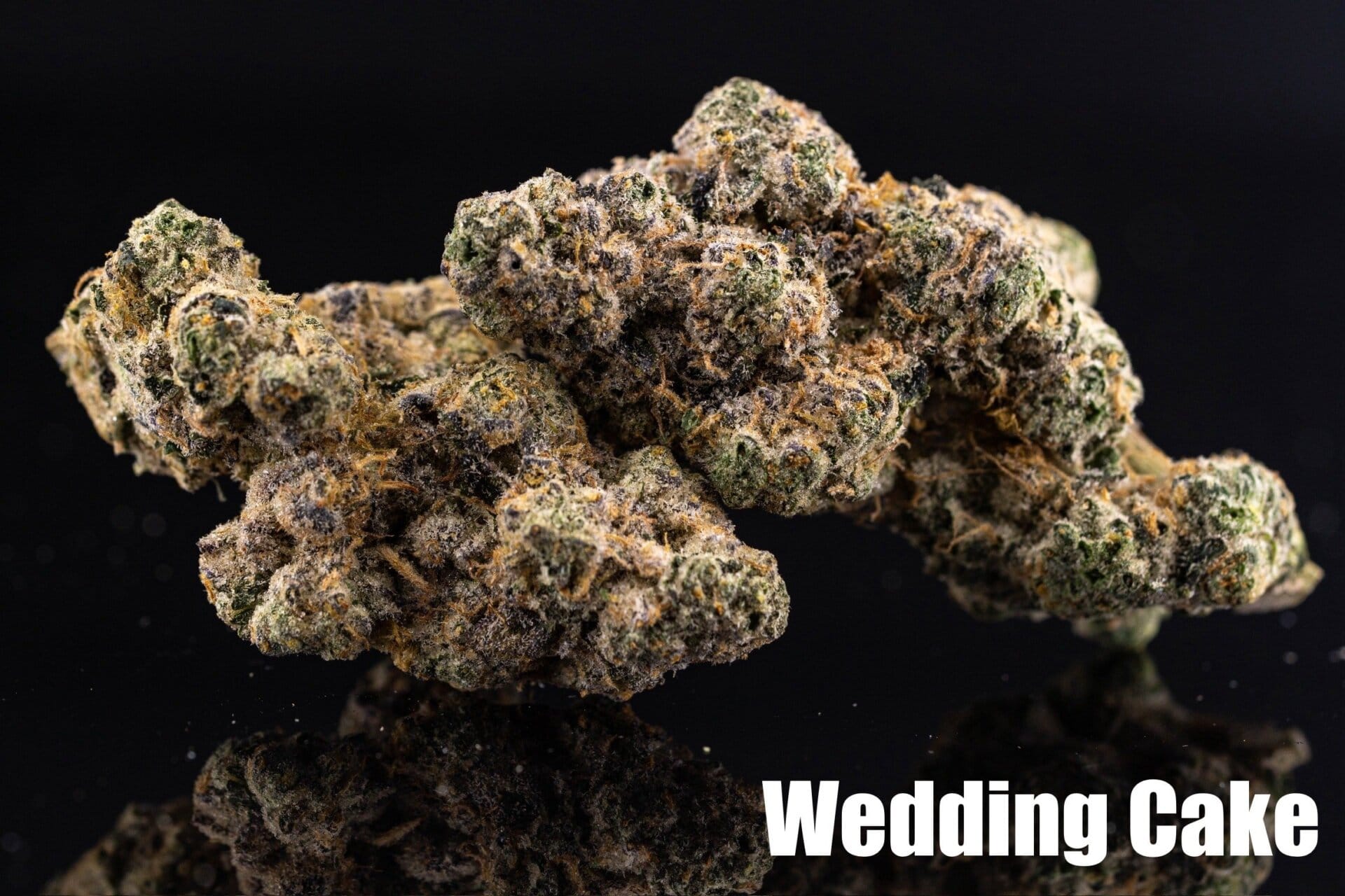 Wedding Cake (Seed Junky Breeder Cut) - Cannabear Thailand