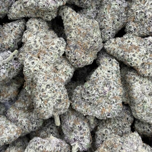 Dante Inferno#8 (Milehighdave Breeder Cut)