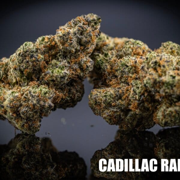 Cadillac Rainbow (Mitten Master Breeder Cut)