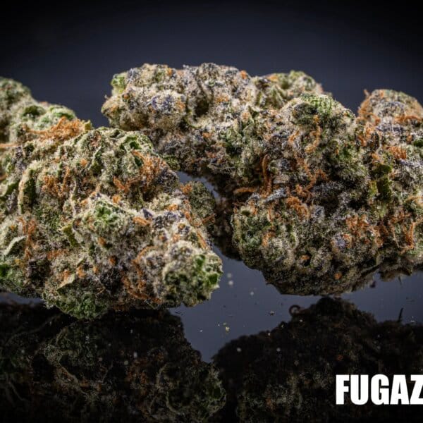 Fugazi Funk (Massive Yield Breeder Cut)