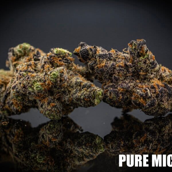 Pure Michigan (Maxyield Breeder Cut)
