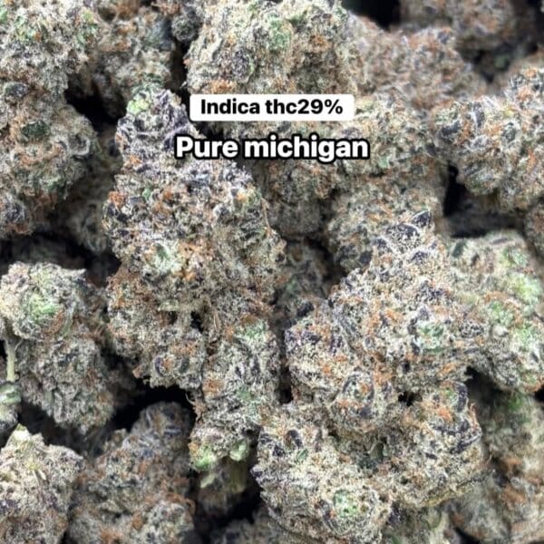 Pure Michigan (Maxyield Breeder Cut)