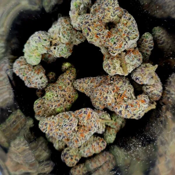 Dante's Wrath #47 (Clearwater Genetics Breeder Cut)