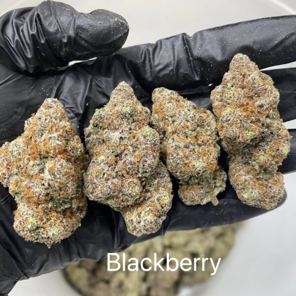 Blackberry