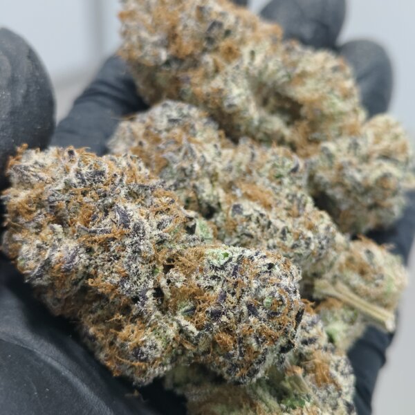 Strawberry Jello Runtz