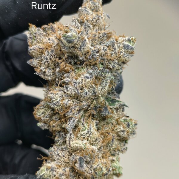 Strawberry Jello Runtz (New)