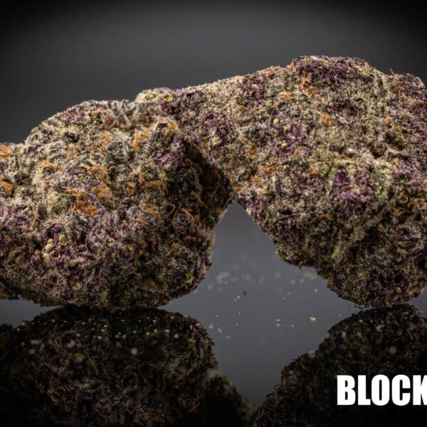 Blockberry ( Blockhead Breeder Cut)