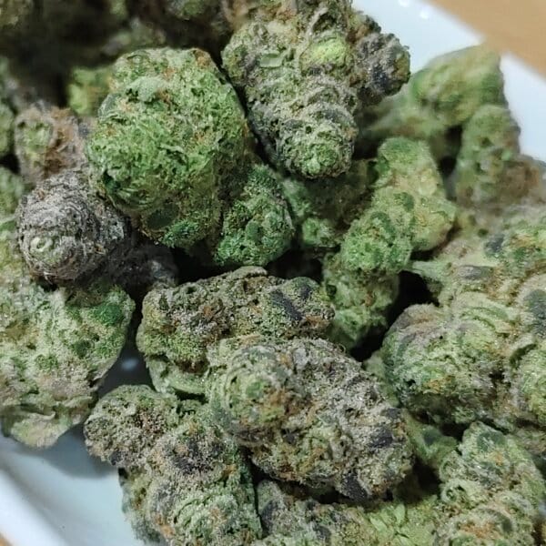 Gypsie Road (Honey Stick Breeder Cut) / Mini Size