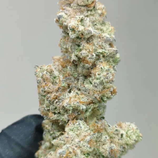 Cap Junky (Seed Junky Breeder Cut)