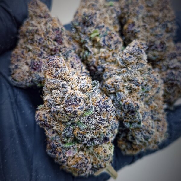 Trop Cherry Gas (New)