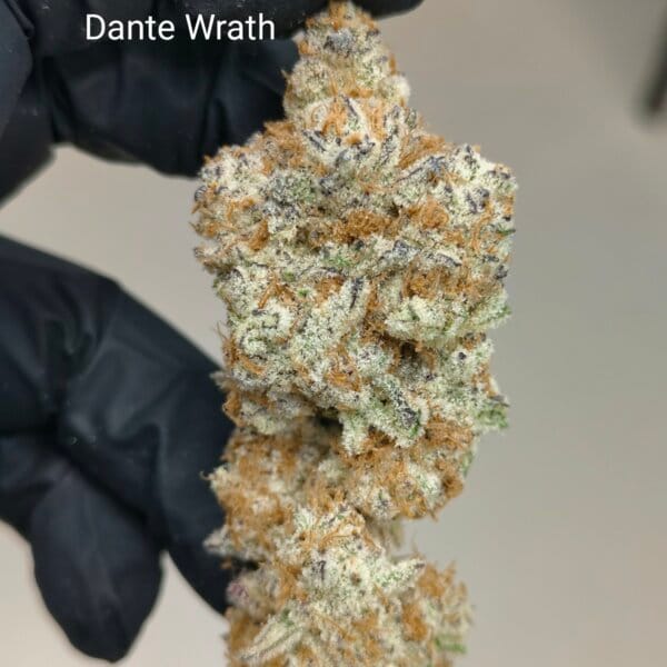 Dante's Wrath #47 (Clearwater Breeder Cut)