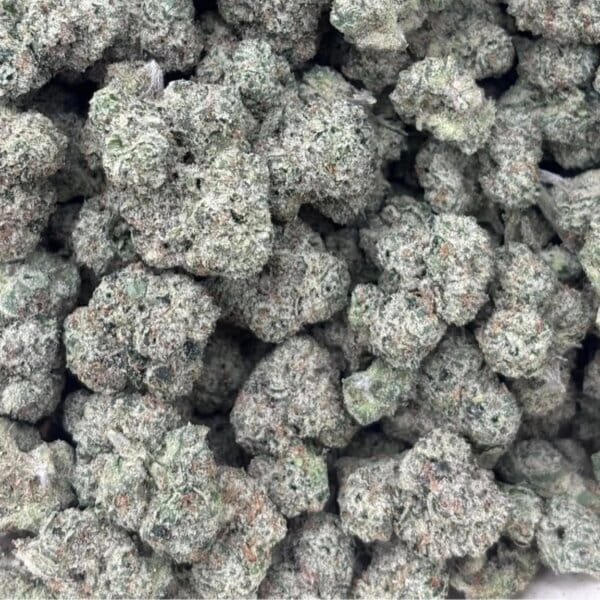 Mortal Kombat (Grow More Fire Breeder Cut) / Mini Size