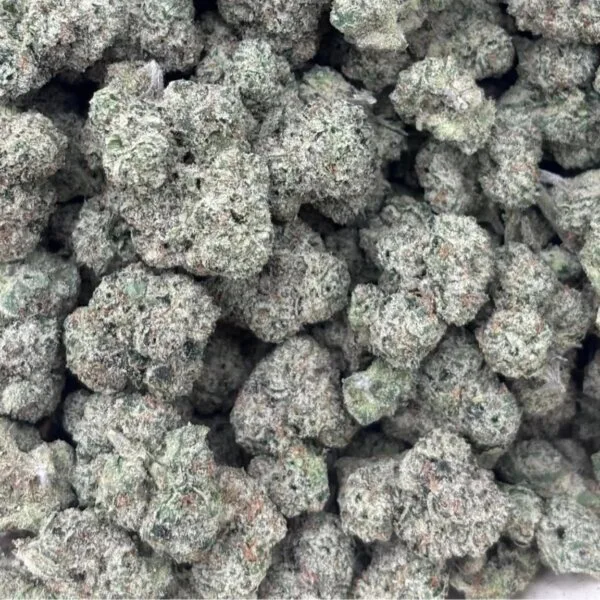 Mortal Kombat (Grow More Fire Breeder Cut) / Mini Size