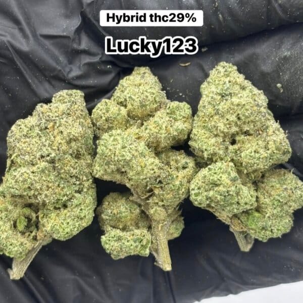 Lucky 123