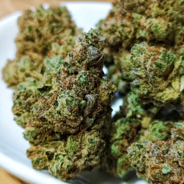 Star Dawg